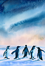 ペンギンのイラスト