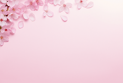 桜のポストカード / 商品番号 5167