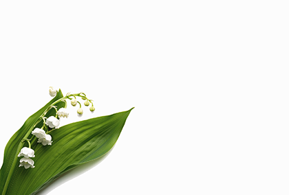 スズランのポストカード / 商品番号 5170