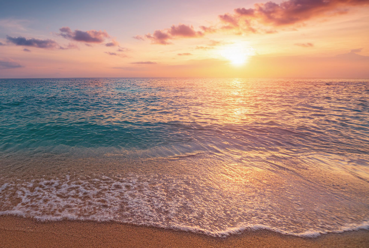 夕陽に輝く砂浜