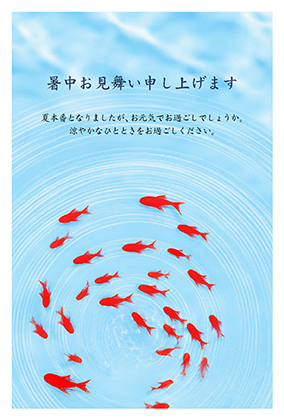 暑中見舞い（金魚）