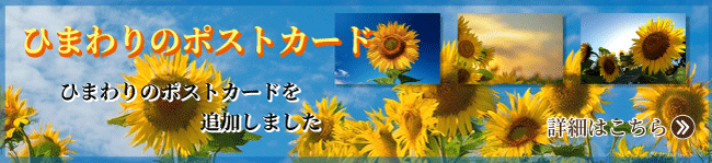 ひまわりのポストカード